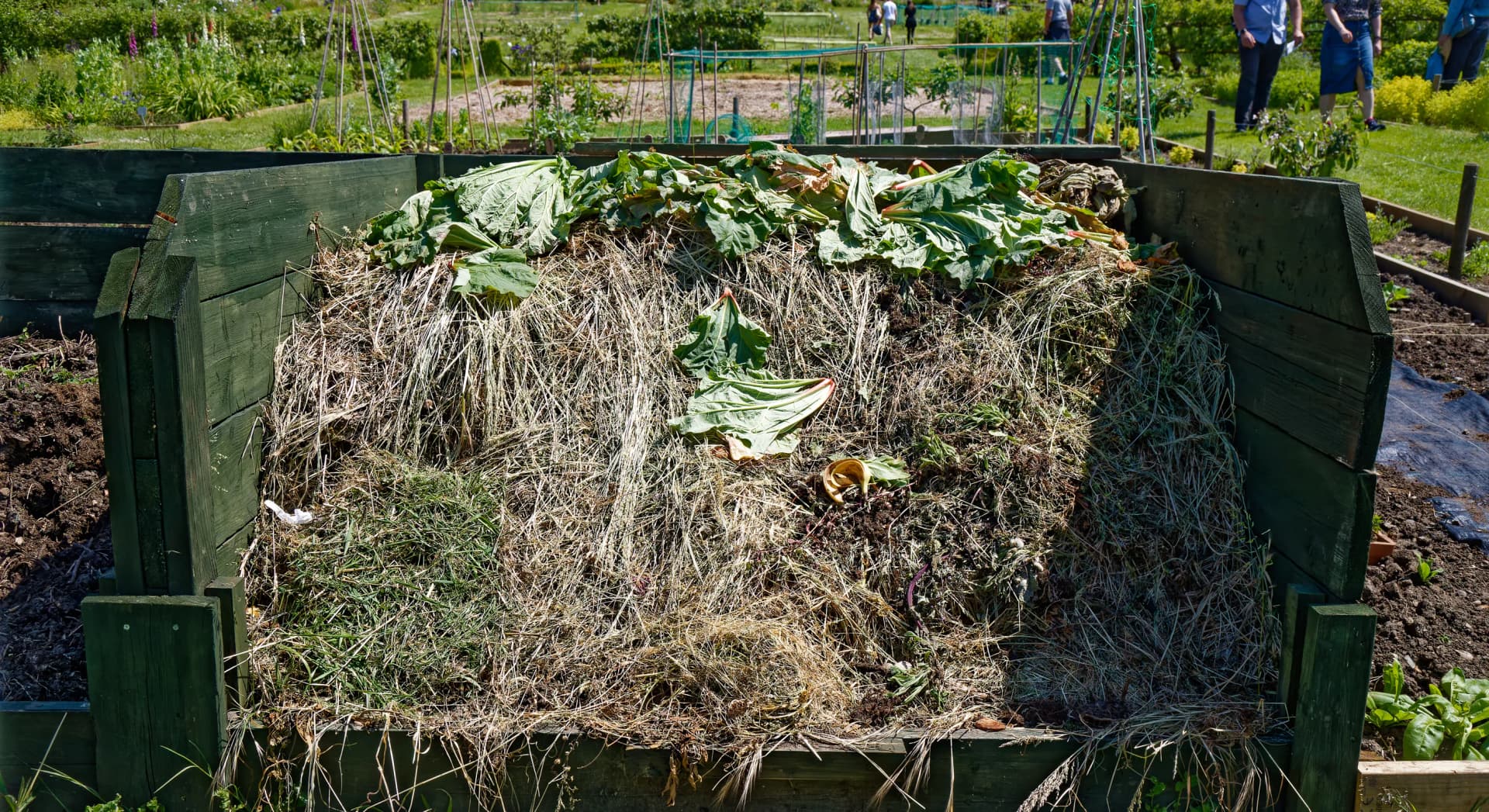 Compost : que mettre ou non, matière par matière